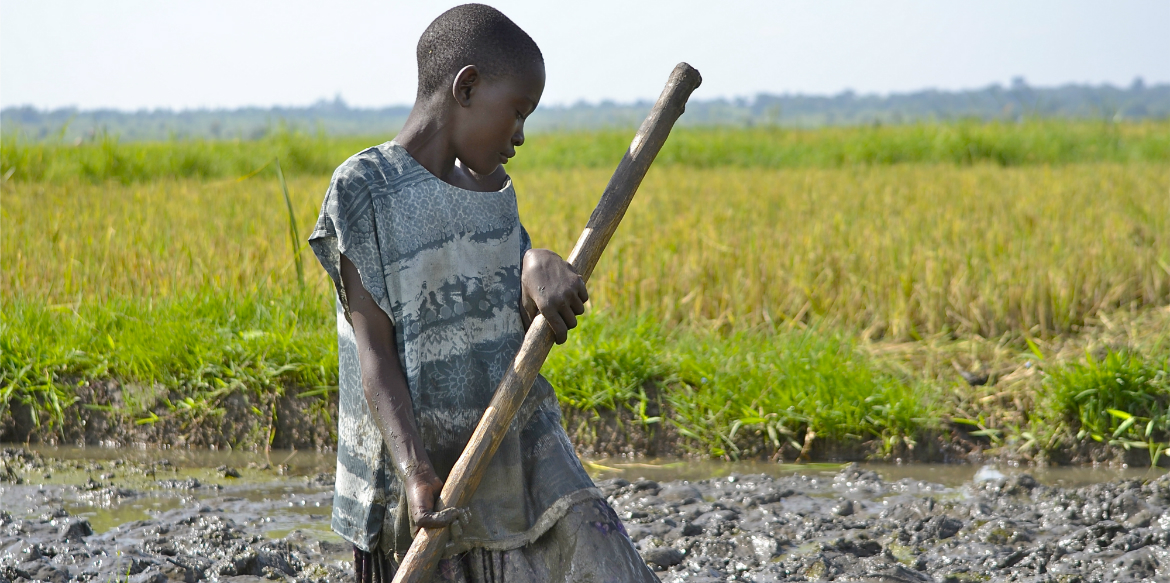 Frequently Asked Questions about the new Dutch Child Labour Due Diligence Law