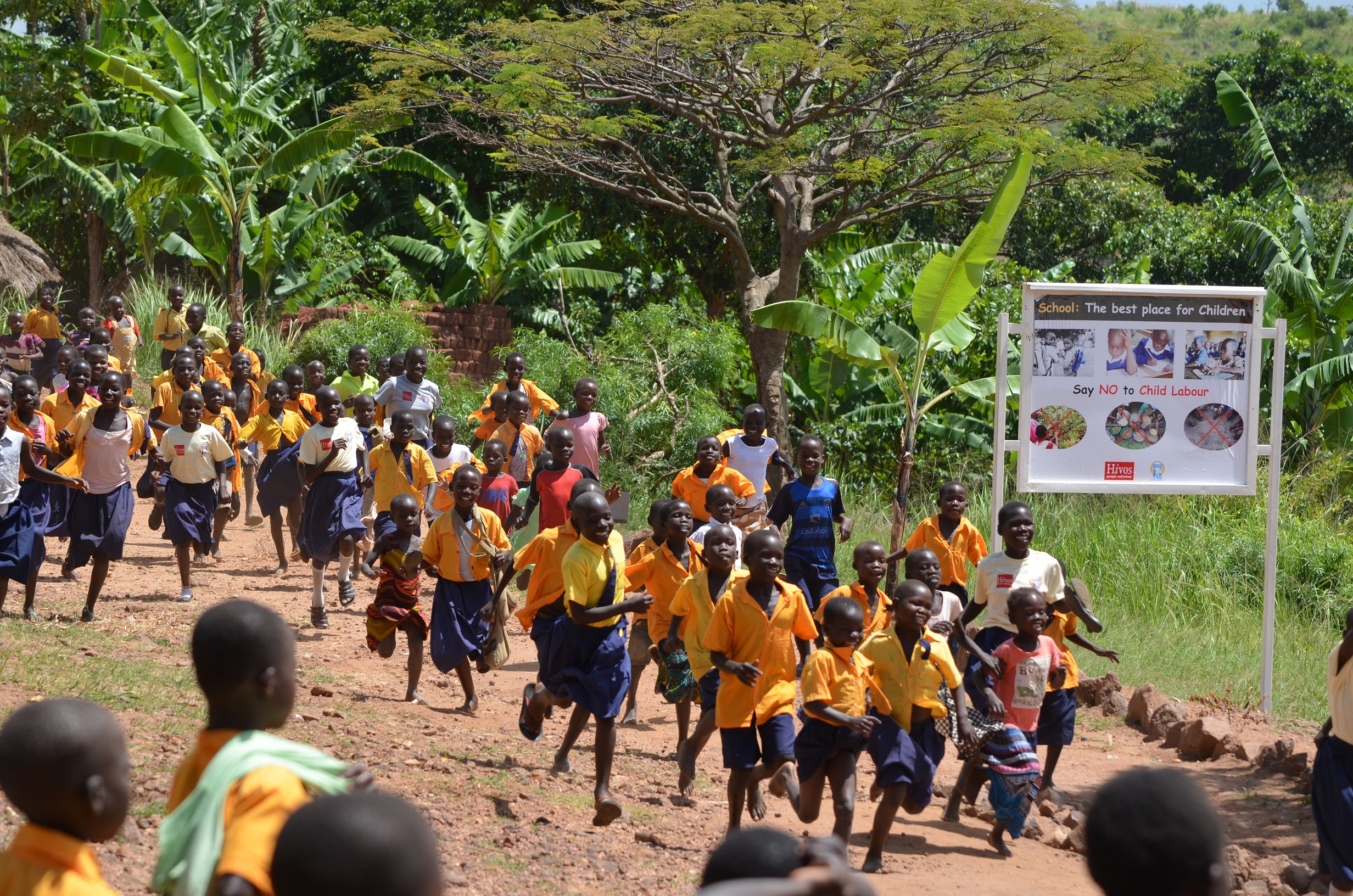 Results and Insights from the Child Labor Free Zone Program in West Nile, Uganda