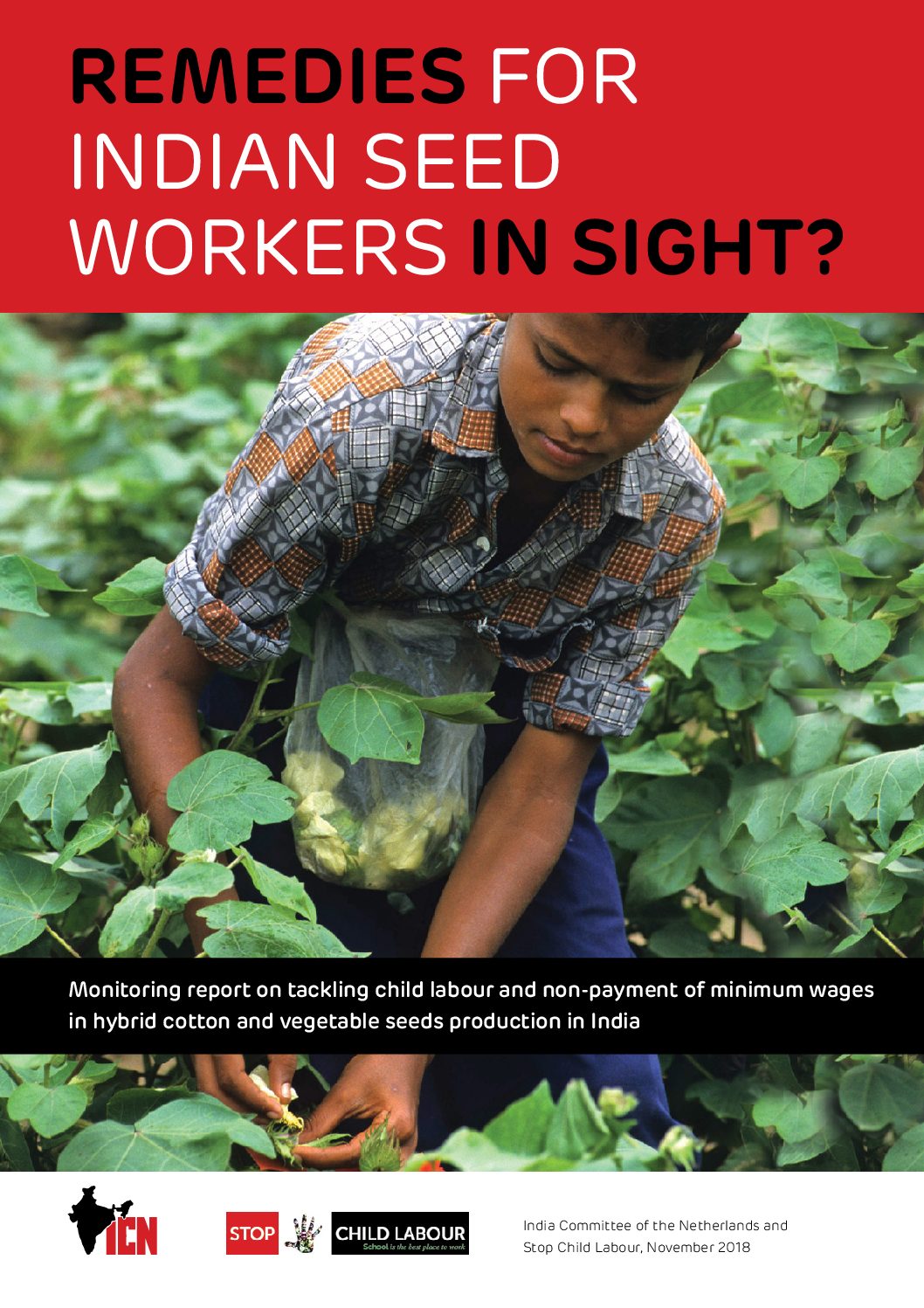 New monitoring report:  ‘Remedies for Indian seed workers in sight?’
